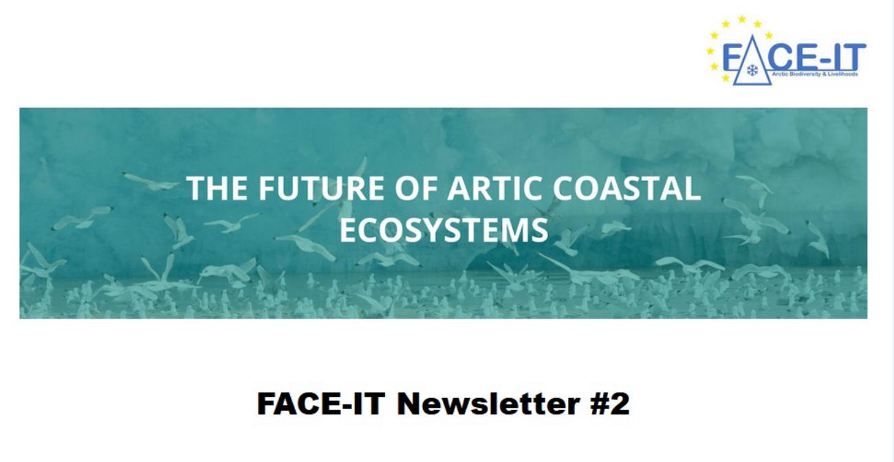 FACE-IT Newsletter #2